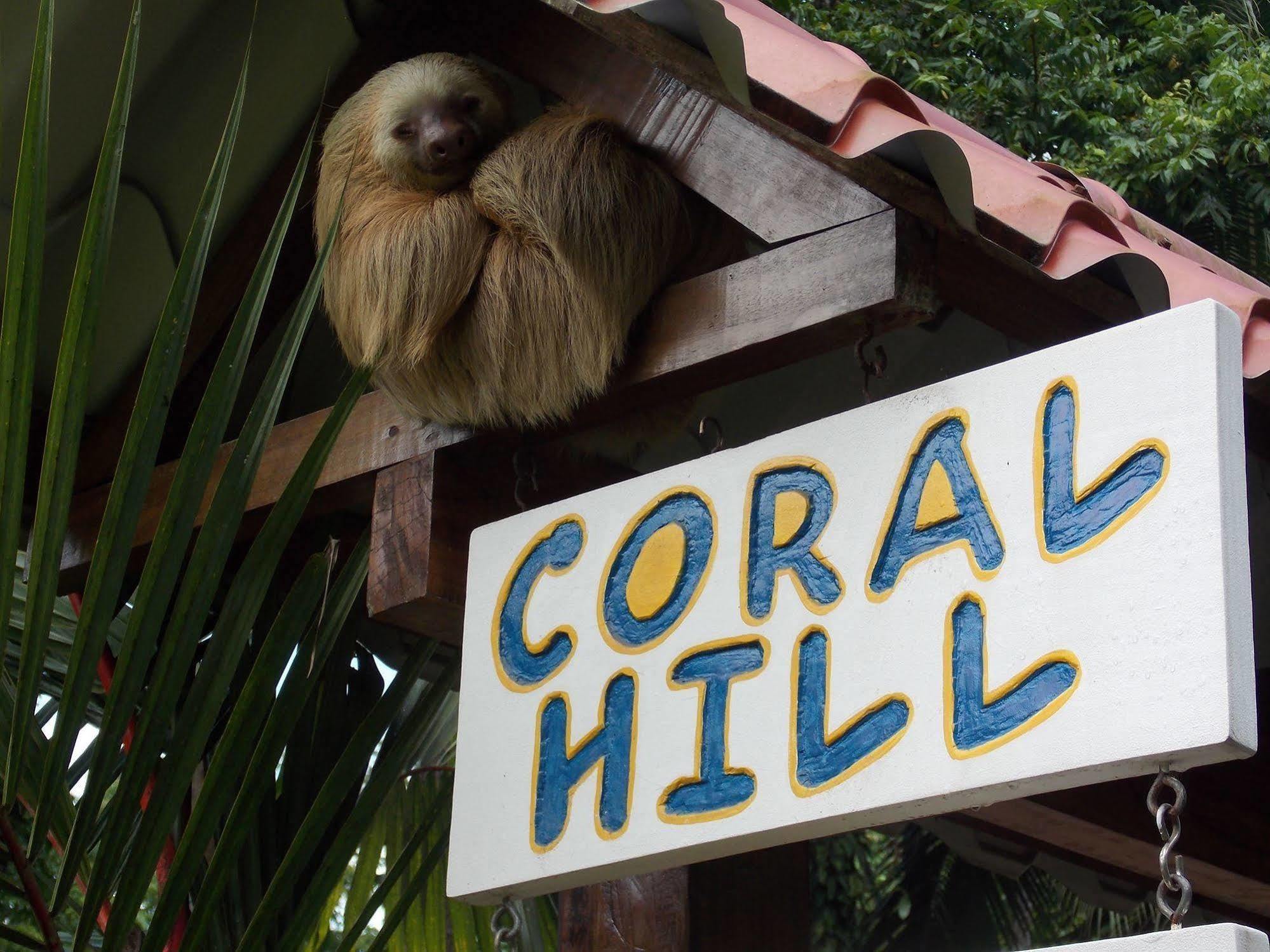 Coral Hill Bungalows Cahuita Exterior foto